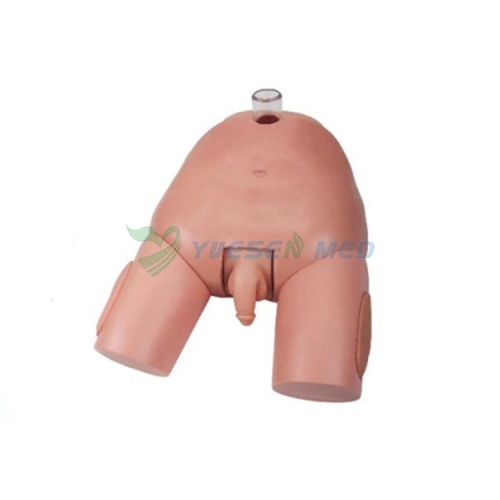 Male Bladder Puncture Simulator YSBIX-H29E