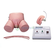 YSBIX-H1D Medical Electronic Urethral Catheterization and Enema Model