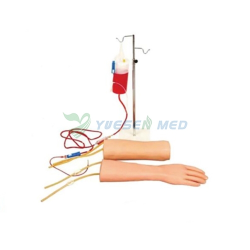YSBIX-HS18 Hand and Elbow Combined Intravenous Transfusion Simulator