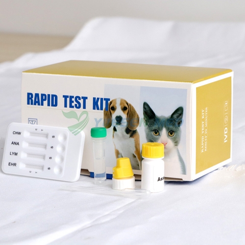 YSENMED Veterinary Rapid Test Strips EHR LYM ANA CHW Ehrlichia Lyme Anaplasma Heartworm Combo Test