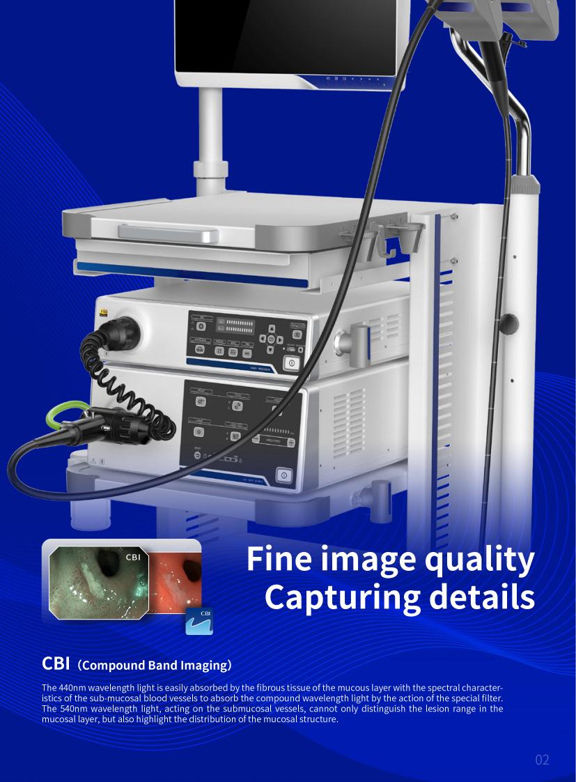 Video Endoscope YSAQ-100