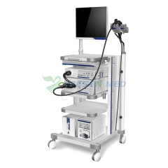 High Quality Video Gastroscope and Colonoscope System YSVME2800