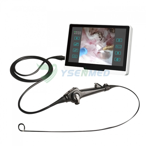 Flexible Video Ureterorenoscope