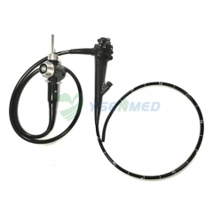 Ysenmed Ysvme-300 Video Endoscope System With Video Gastroscope Video Colonoscope Video Bronchoscopy Video Duodenoscope Video Choledochoscope