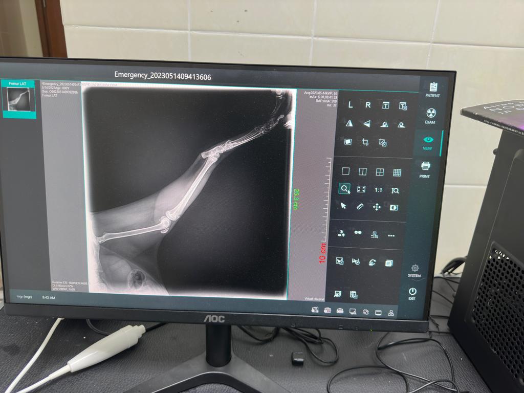 A instalação do sistema de raios X veterinário YSENMED YSDR-VET200 20kW foi concluída em uma clínica veterinária em Brunei