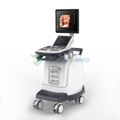 Fœtus en mode 4d avec le système d'échographie Doppler couleur YSENMED YSB-S7