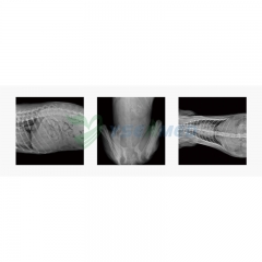 YSX-DRF32V 32kW Veterinary Digital Dynamic Radiography and Fluoroscopy X-ray System