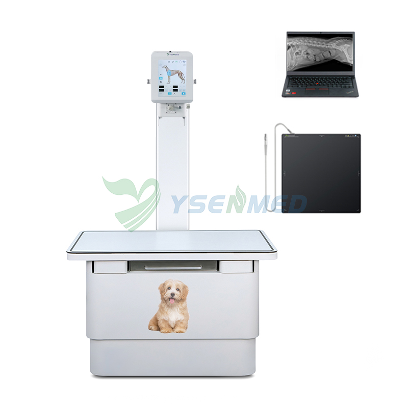 صور الأشعة السينية السريرية المقدمة من نظام الطبيب البيطري YSX056-PL وكاشف اللوحة المسطحة YSFPD-V1717X VET.