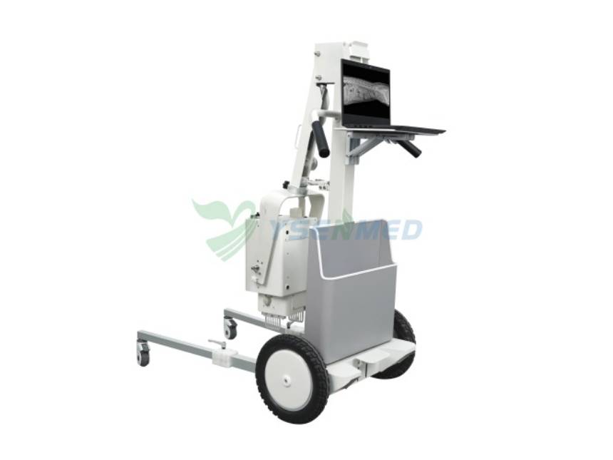 YSENMED YSX056-PD digital portable veterinary DR in Chile