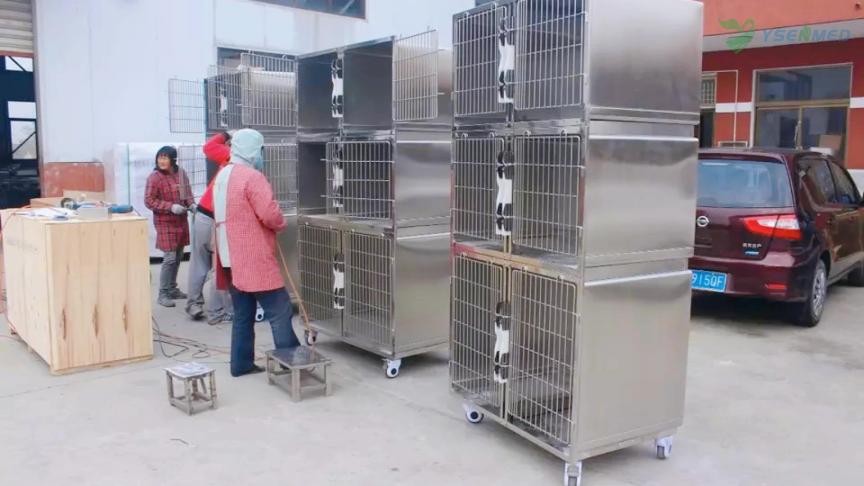 Cages et tables vétérinaires en acier inoxydable de haute qualité YSENMED pour l'Arabie Saoudite