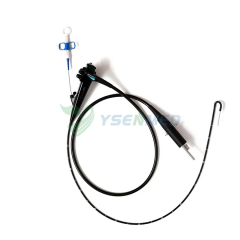 Système d'endoscope vidéo YSVG1050