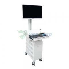 YSB-IAS01 YSENMED Ultrasound Imaging AI Analysis System