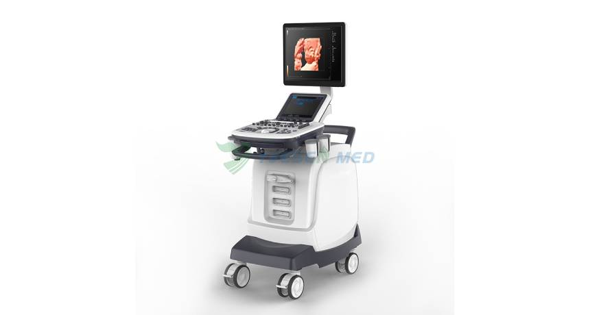 Varredura da tireoide em modo colorido com sistema de ultrassom doppler colorido portátil YSENMED YSB-S7