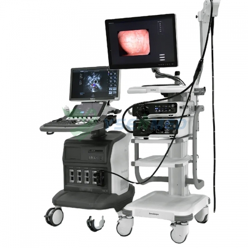 Échoendoscope à réseau linéaire Sonoscape EG-UC5T