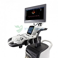 4D color doppler ultrasound scanner price SonoScape S40