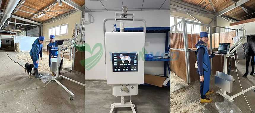 YSX080-A Vet 8kW portable veterinary DR working well in a horse ranch in Russia