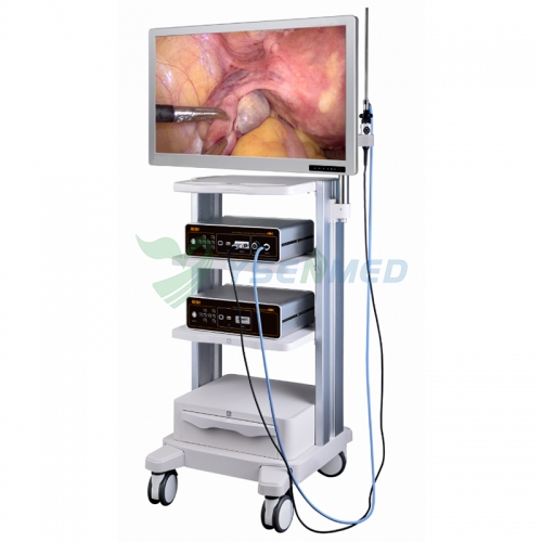 YSVME-6100H Plus Medical Endoscope System