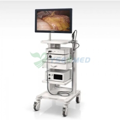 Sistema de endoscopio médico YSVME-2900H