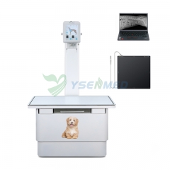 YSX100-PD 10kw Veterinary X-ray Machine