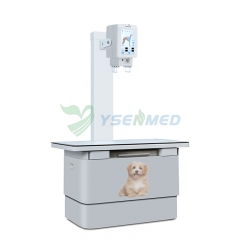 YSX100-PD 10kw Veterinary X-ray Machine