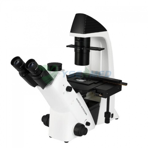 Microscópio Binocular Invertido YSXWJ-DZ400