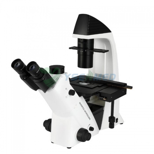 YSXWJ-DZ400 Inverted Binocular Microscope