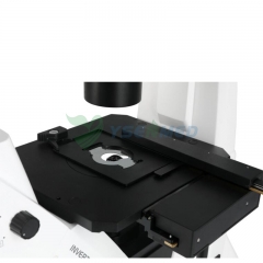 Microscópio Binocular Invertido YSXWJ-DZ400