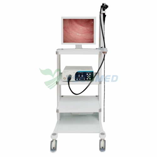 Sistema de endoscópio médico YSVME-200A