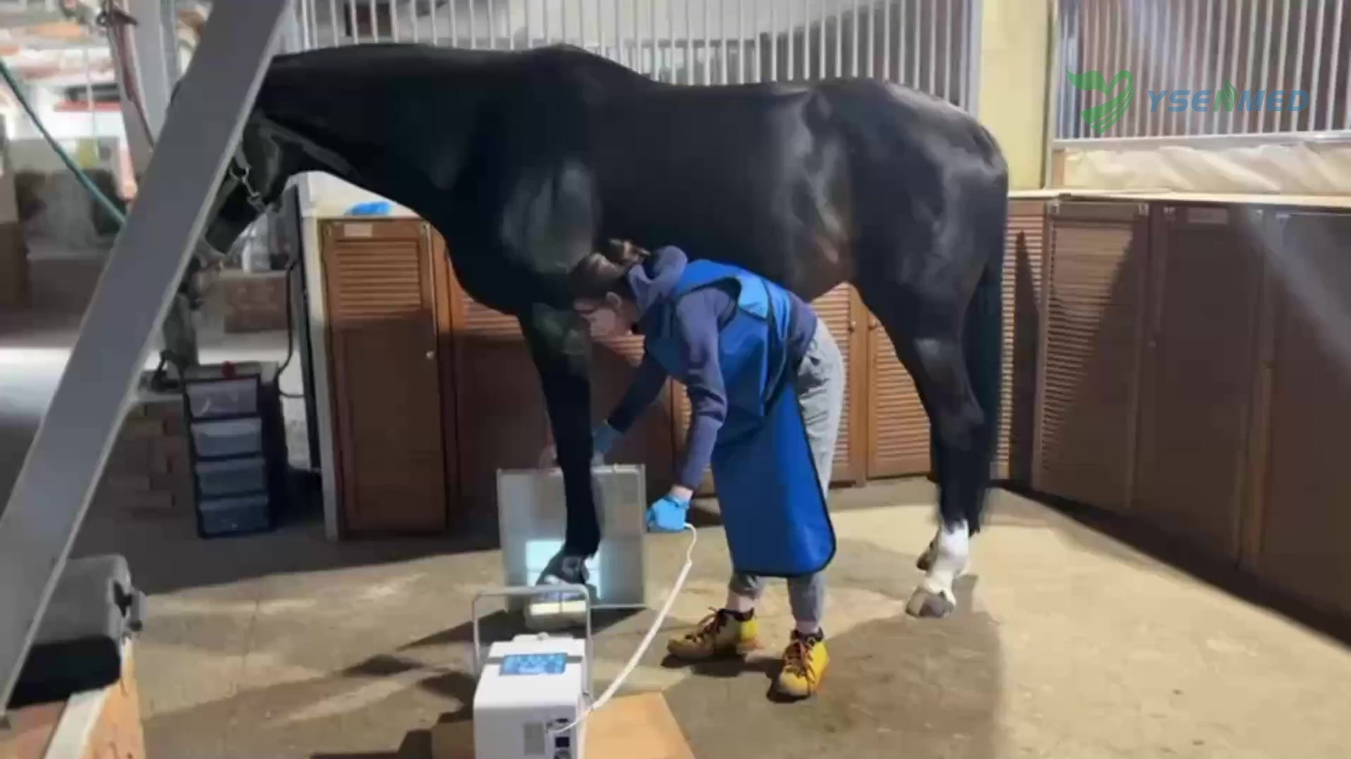 Sistema DR veterinário portátil YSENMED 10kW a funcionar bem num rancho de cavalos