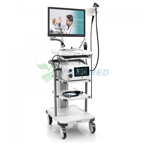 Sonoscape V-2000 Veterinary Endoscopy System