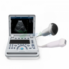 Système de diagnostic à ultrasons Doppler couleur 4D portable YSB1700B