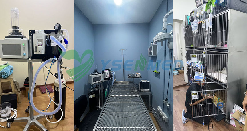 Malaysian vet shares pictures of his clinic with YSENMED equipment in service.