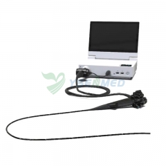 Videogastroscopio YSNJ-HP1315