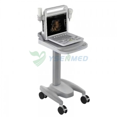 YSB-DU20 Portable Color Doppler Ultrasound Diagnostic System