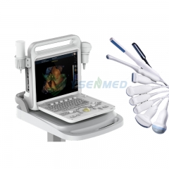 Système de diagnostic à ultrasons Doppler couleur portable YSB-DU20