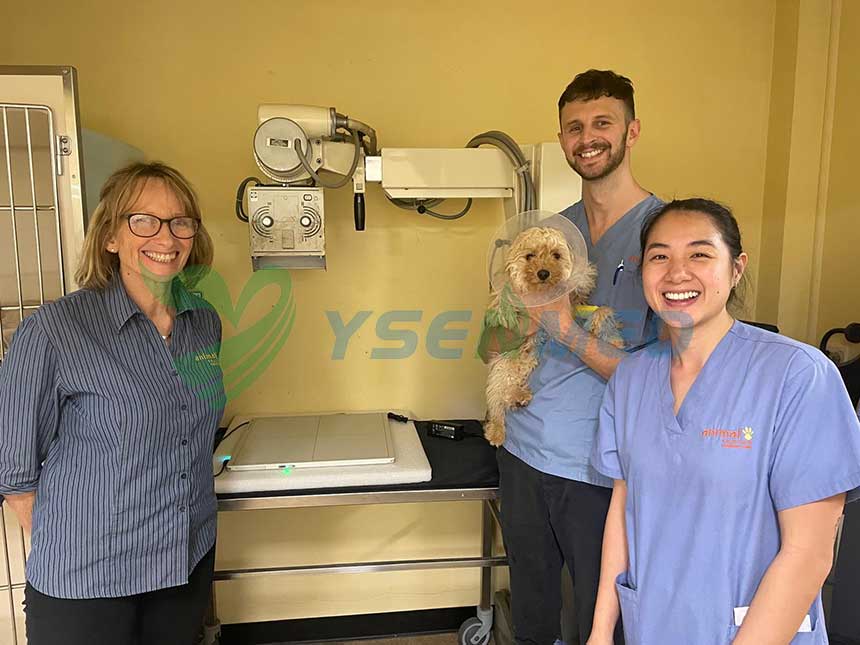 Australian vet clinic digitizing its x-ray with YSFPD-M1717V Vet DR panel