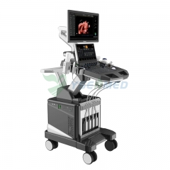 Sistema de ecografia Doppler a cores com carrinho YSB-T3