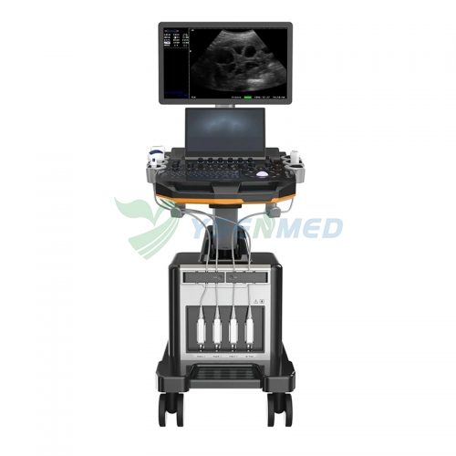 YSB-T6 High-end Medical Cardiovascular Ultrasound 4D Trolley Color Doppler Ultrasound System