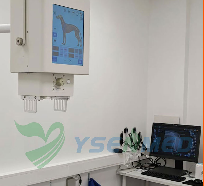 Sistema DR portátil VET YSX056-PE instalado numa clínica veterinária na Noruega