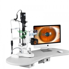 Medical Ophthalmology Slit Lamp Microscope YSENT-SL350