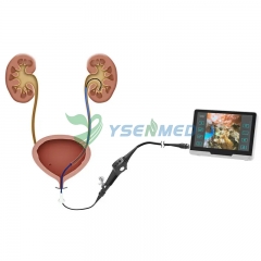 Video Ureterorenoscop YSNJ-UR1328