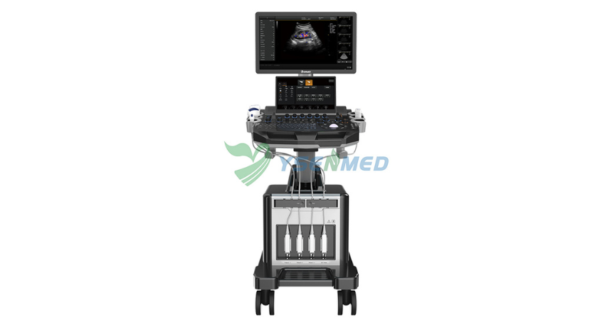 From Abdomen to OB in One Smooth Roll: Why a Medical 3D 4D 5D Trolley Color Ultrasound System Feels Effortless
