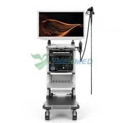 Sistema de endoscopio de vídeo 4K SonoScape HD-650Exp