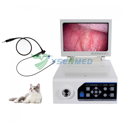 Système endoscopique vidéo vétérinaire combiné YSNJ-100VET-P