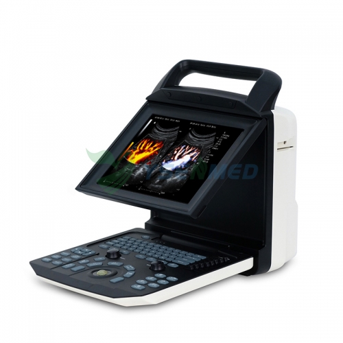 Ecografista Doppler color portátil veterinario YSB-M5 VET