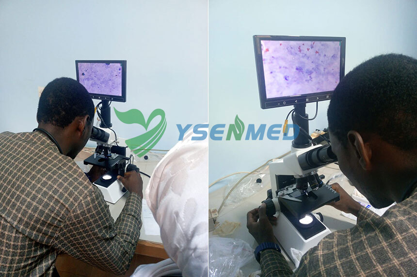 Diallo from Mali Is Very Satisfied with YSENMED Laboratory Equipment