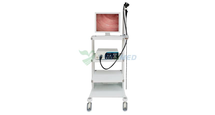 Need a Smarter Medical Endoscope System? Meet the YSVME-200A with 720P HD Imaging