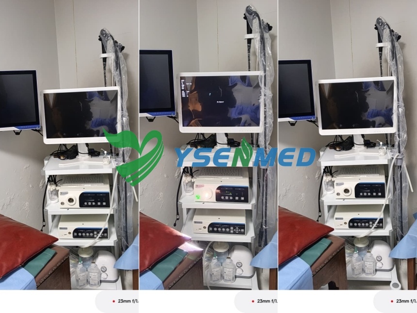 Kenyan Engineer Enock Kibiego Satisfied with YSVME-200 Video Endoscope System and YSJPJ30 Autopsy Saw