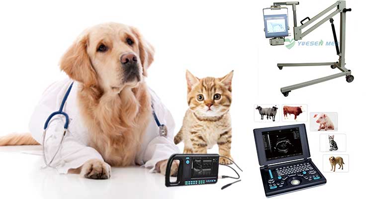 兽医设备，兽医设备供应商，宠物设备供应
