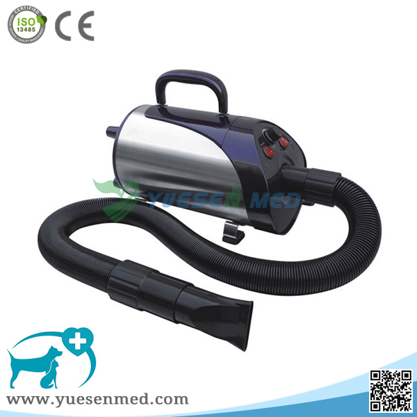 animal handheld hair drier